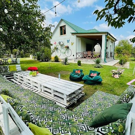 Villa Rokiti Εξωτερικό φωτογραφία