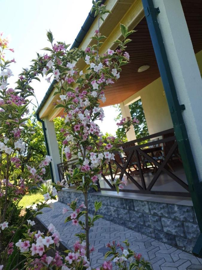 Villa Rokiti Εξωτερικό φωτογραφία