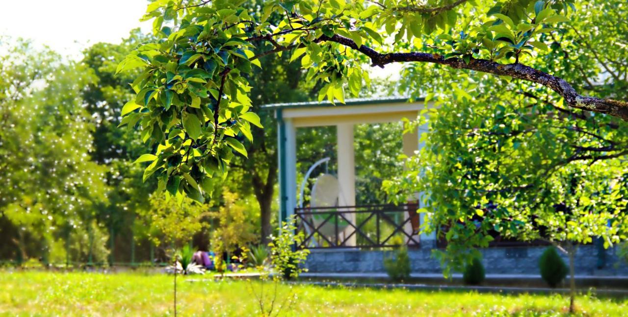 Villa Rokiti Εξωτερικό φωτογραφία